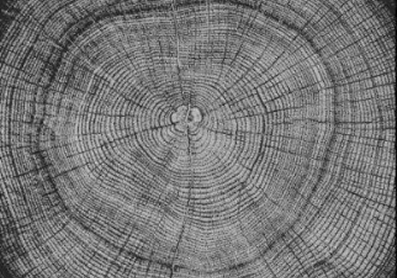 Fibras naturales de madera